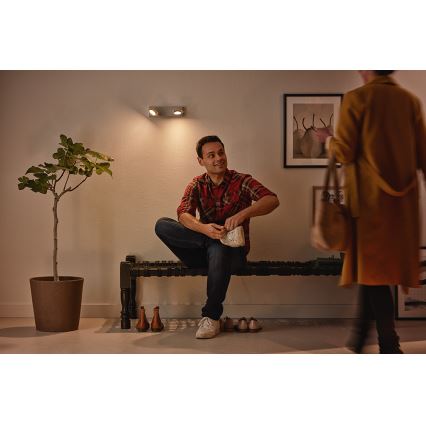 Philips 53192/48/P0 - LED Точково осветление, луна MILLENNIUM 2xLED/4,5W/230V