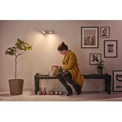 Philips 53192/48/P0 - LED Точково осветление, луна MILLENNIUM 2xLED/4,5W/230V