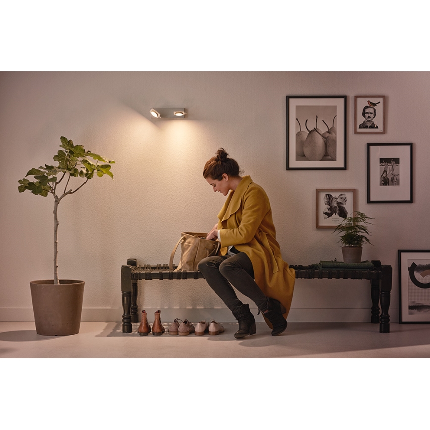 Philips 53192/48/P0 - LED Точково осветление, луна MILLENNIUM 2xLED/4,5W/230V