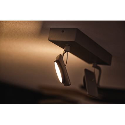 Philips 53192/48/P0 - LED Точково осветление, луна MILLENNIUM 2xLED/4,5W/230V