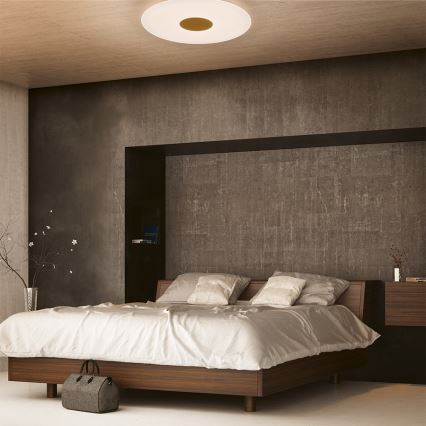 Philips - LED регулируемо таванно осветително тяло LED/30W/230V + дистанционно управление