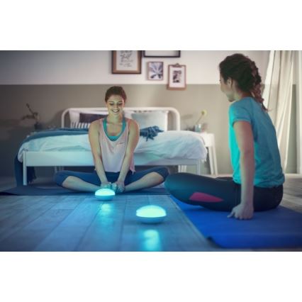 Philips 70104/31/P0 - LED Димируема портативна лампа CAMELLIA LED/3W