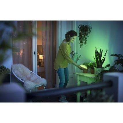 Philips 70104/31/P0 - LED Димируема портативна лампа CAMELLIA LED/3W