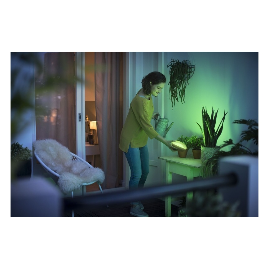Philips 70104/31/P0 - LED Димируема портативна лампа CAMELLIA LED/3W