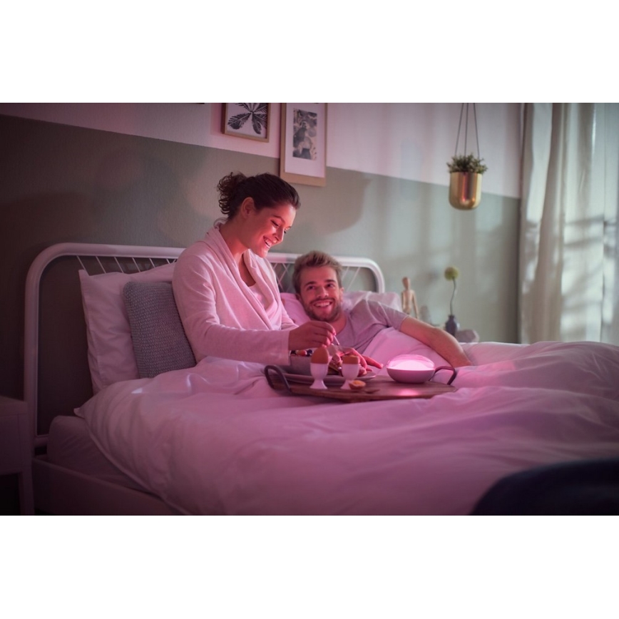 Philips 70104/31/P0 - LED Димируема портативна лампа CAMELLIA LED/3W