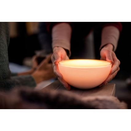 Philips - Димируема настолна лампа Hue GO 1xLED/6W/RGB