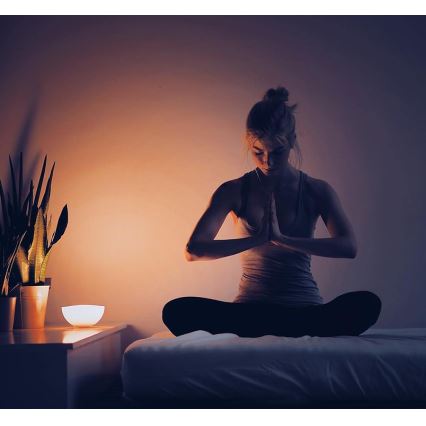 Philips - Димируема настолна лампа Hue GO 1xLED/6W/RGB
