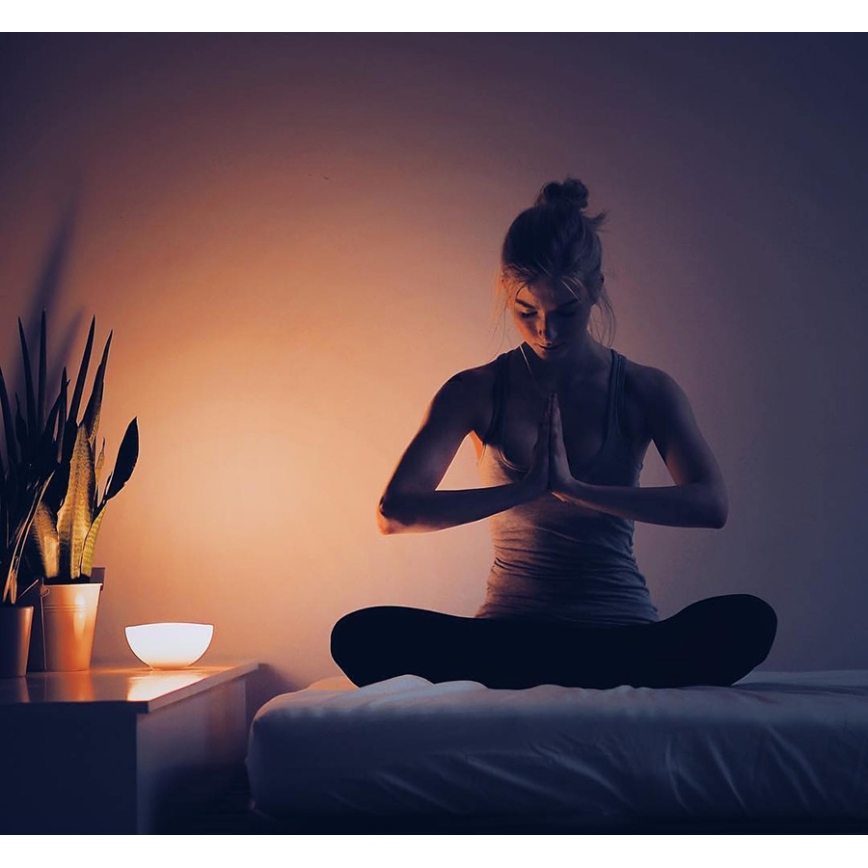 Philips - Димируема настолна лампа Hue GO 1xLED/6W/RGB