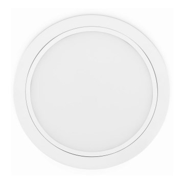 Philips 80088/31/16 - LED Осветление за окачен таван RASTABAN 1xLED/20W/230V