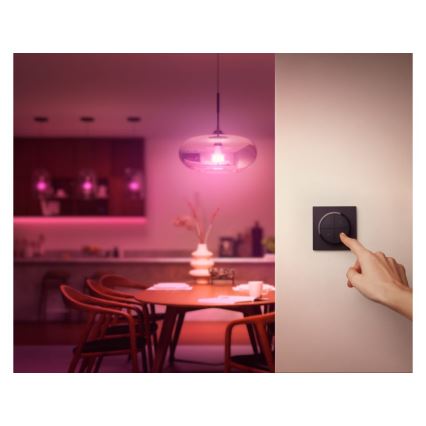 Philips - Дистанционно управление с превключвател Hue TAP 1xCR2032 черно