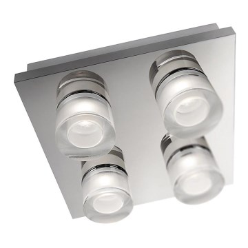Philips ESEO 37245/11/13 - Плафон SELV 4xLED/2,5W