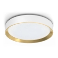 Philips - LED Димируем плафон HANNO LED/24W/230V 2700K бял