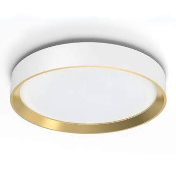 Philips - LED Димируем плафон HANNO SCENE SWITCH LED/24W/230V 4000K бял