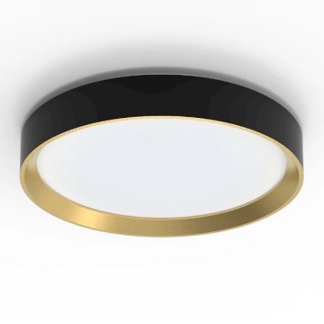 Philips - LED Димируем плафон HANNO SCENE SWITCH LED/24W/230V 4000K черен