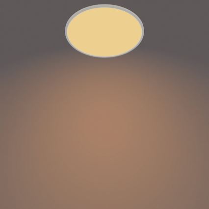 Philips - LED Димируема екстериорна лампа SUPERSLIM SCENE SWITCH LED/15W/230V IP54 бял