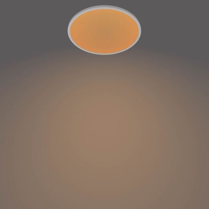 Philips - Димируемо LED таванно осветително тяло LED/15W/230V 2700K