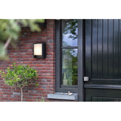 Philips - LED Екстериорен аплик ARBOUR LED/3,8W/230V 2700K IP44
