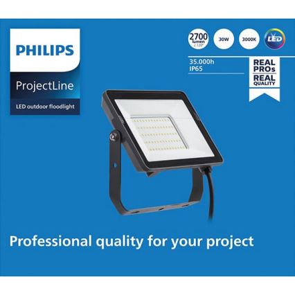 Philips - LED Екстериорен прожектор PROJECTLINE LED/30W/230V IP65 3000K