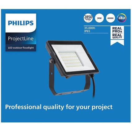 Philips - LED Екстериорен прожектор PROJECTLINE LED/30W/230V IP65 4000K