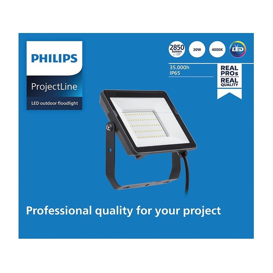 Philips - LED Екстериорен прожектор PROJECTLINE LED/30W/230V IP65 4000K