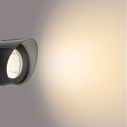 Philips - LED Екстериорен спот LED/6W/12V 2700K IP44
