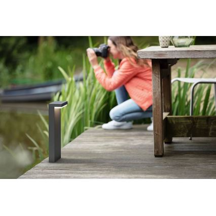 Philips - LED Екстериорна лампа BUSTAN LED/3,8W/230V 2700K 77 см IP44