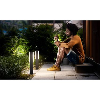 Philips - LED Екстериорна лампа STRATOSPHERE LED/3,8W/230V 42 см 2700K IP44
