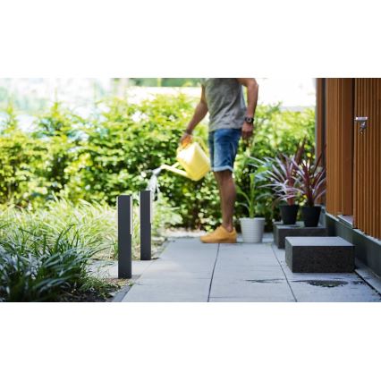 Philips - LED Екстериорна лампа STRATOSPHERE LED/3,8W/230V 42 см 2700K IP44