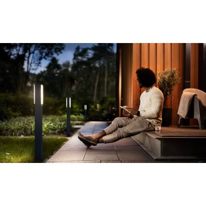 Philips - LED Екстериорна лампа STRATOSPHERE LED/3,8W/230V 77 см 2700K IP44