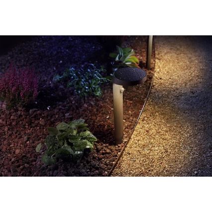 Philips - LED Екстериорна лампа със сензор LED/9W/230V 2700K IP44
