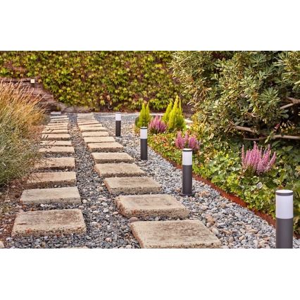 Philips - LED Екстериорна лампа GARDENLINK LED/24W/230V 2700K IP44