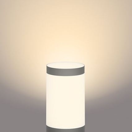Philips - LED Екстериорна лампа GARDENLINK LED/24W/230V 2700K IP44