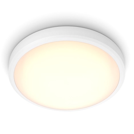 Philips - LED Лампа за баня BALANCE LED/17W/230V IP44