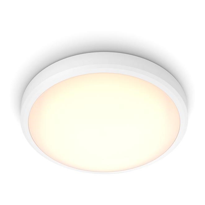 Philips - LED Лампа за баня BALANCE LED/17W/230V IP44