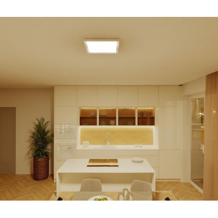 Philips - LED плафон с възможност за димиране LED/15W/230V 2700K 39,5x39,5 cm