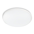 Philips - LED плафон TWIRLY LED/17W/230V