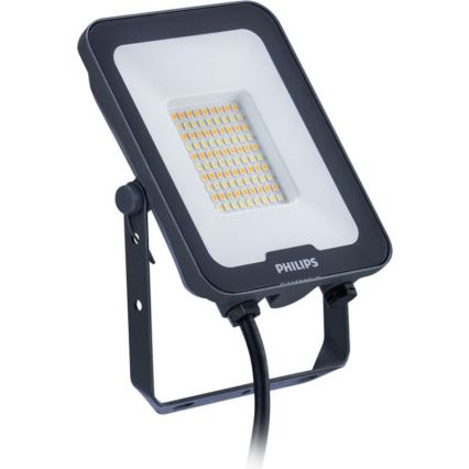 Philips - LED прожектор LEDINAIRE ALL-IN LED/30W/230V 3000/4000/6500K IP65
