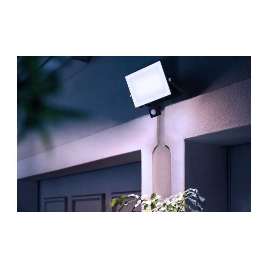 Philips - LED Прожектор със сензор LOIS LED/50W/230V IP65 5000K
