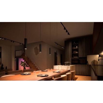 Philips - LED RGB Димируем пендел за релсова система Hue PERIFO LED RGB/5,2W/24V 2000-6500K