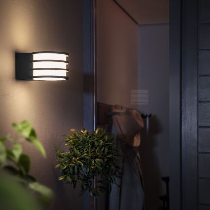 Philips - Димируемо външно стенно RGB LED осветително тяло Hue LUCCA 1xE27/8,1W/230V 1000-20000K IP44