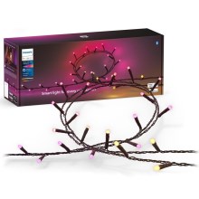 Philips - LED RGBW Димируем екстериорен верига HUE WHITE AND COLOR AMBIANCE 500xLED 44,4 м 2000-6500K IP54