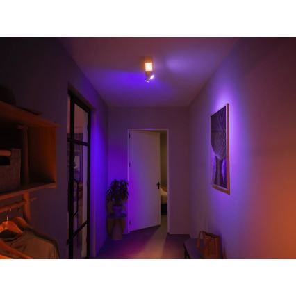 Philips - LED RGBW Димируем спот Hue CENTRIS 2xGU10/4,2W/230V+ LED/11W