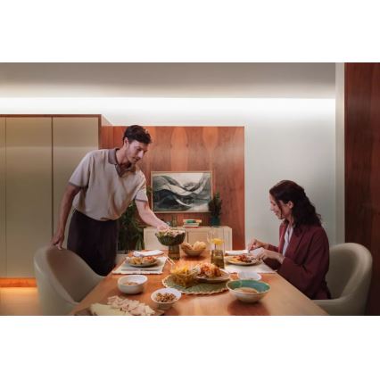 Philips - LED RGBW димируема лента Hue FLUX 3+2m LED/48,5W/230V 2200-6500K