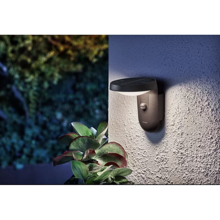 Philips - LED Соларен аплик със сензор LED/1,2W/4V 1800 mAh 4000K IP44