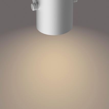 Philips - LED Спот SCENE SWITCH BYRE 3xLED/4,3W/230V 2200/2500/2700K