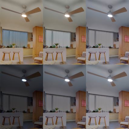 Philips - таванен вентилатор CIVX с димируема LED/24W/230V + дистанционно управление