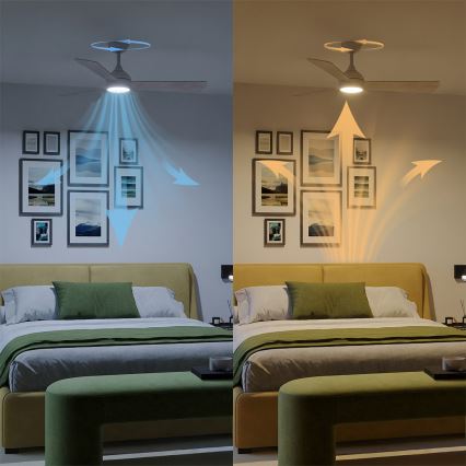 Philips - таванен вентилатор CIVX с димируема LED/24W/230V + дистанционно управление
