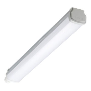 Philips - LED техническо тръбно осветително тяло LEDINAIRE LED/15W/230V 60 cm IP66