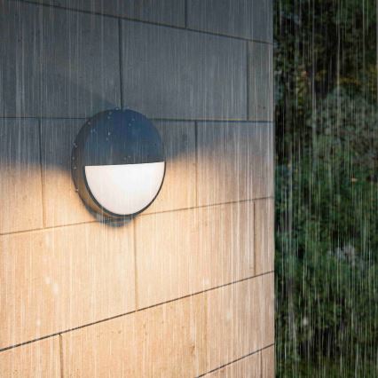 Philips - LED външно стенно осветително тяло CAPRICORN LED/4,3W/230V IP44