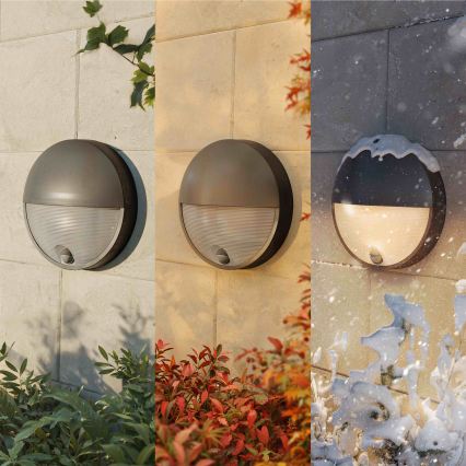 Philips - LED външна стенна лампа със сензор CAPRICORN LED/4,3W/230V IP44